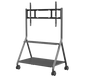 MOBILE CART FOR INTERACTIVE DISPLAY